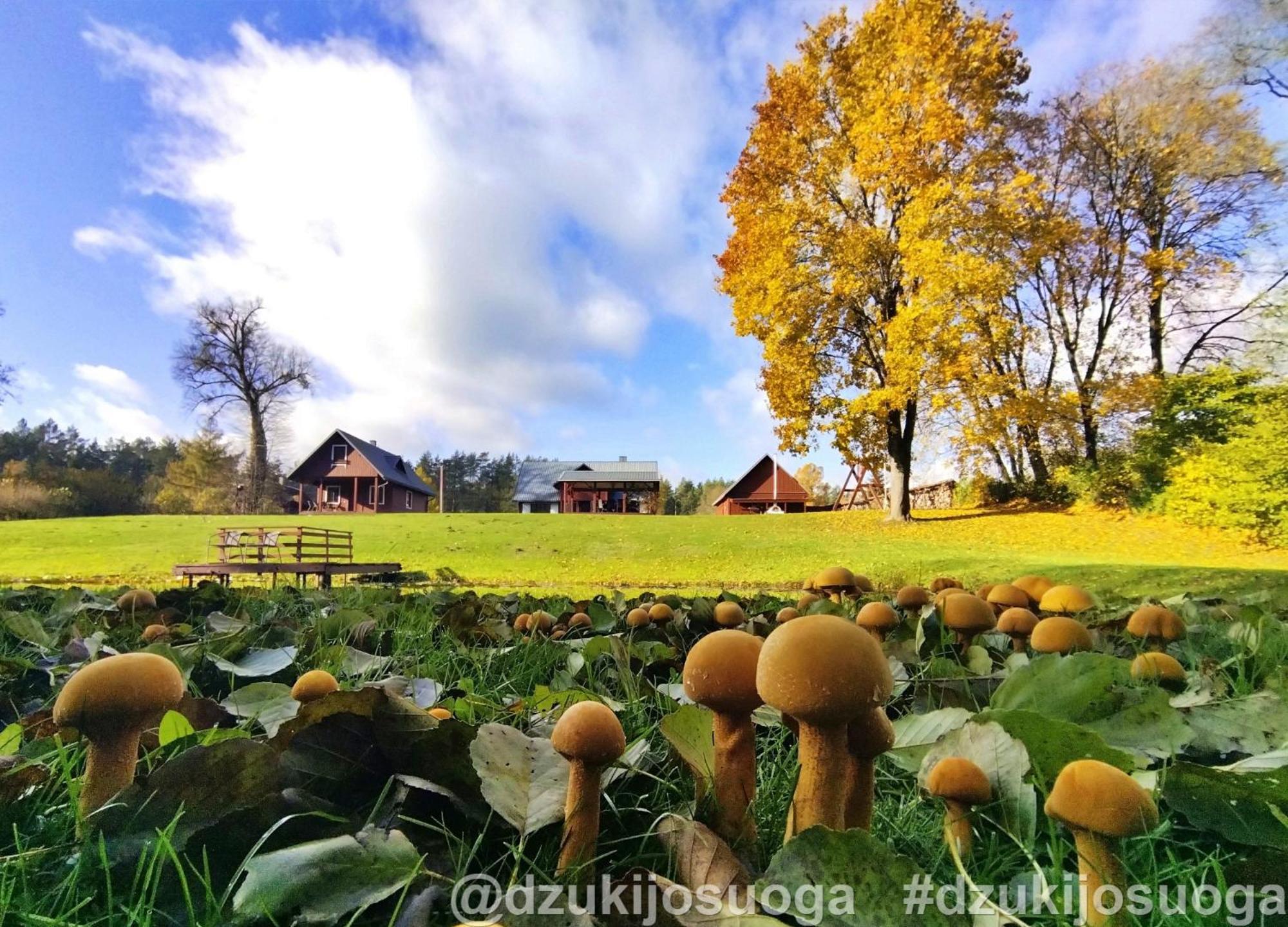 Dzukijos Uoga Virsurodukis Exterior foto